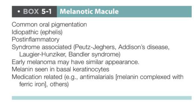 Melanotic macule