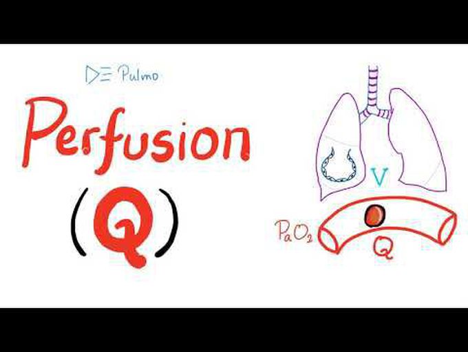 An Overview of Lung Perfusion