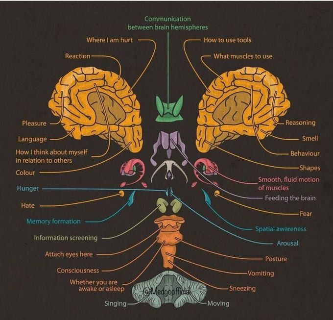 Neurology some functions...