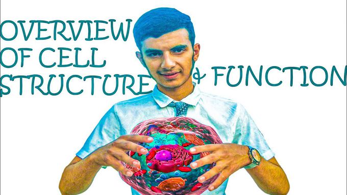 Overview of Cell Structure & Function