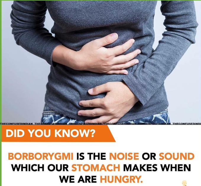 Stomach or bowel sound.