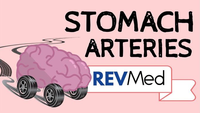 Stomach Arterial Supply & pathways (NEW | EASY) - Anatomy