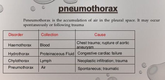 Thorax