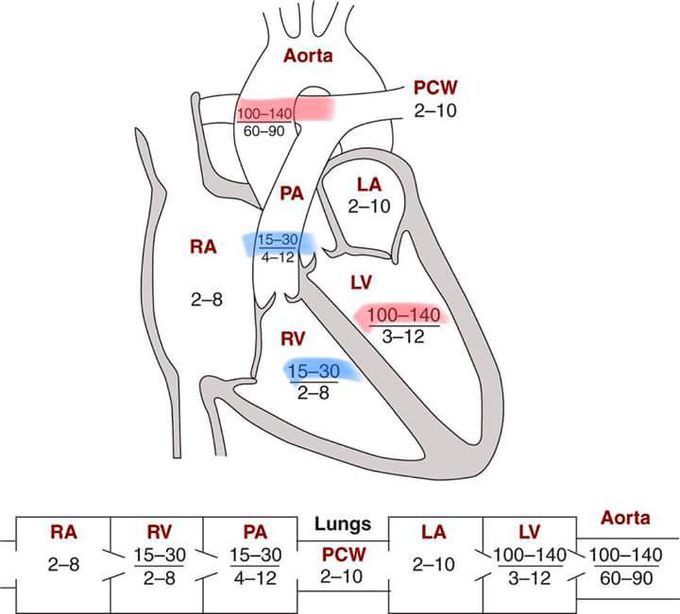 Pressures in Heart