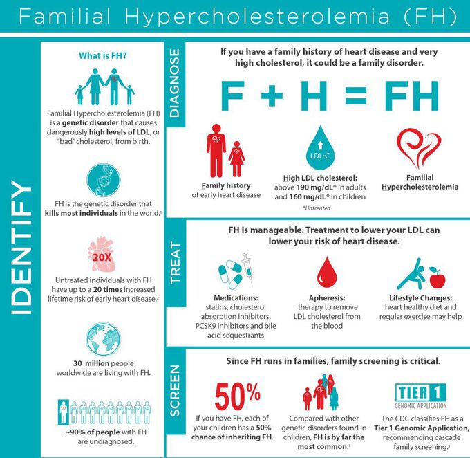Is high cholesterol the same as hypercholesterolemia?