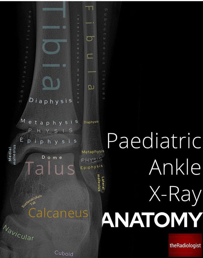 Pediatric Ankle X-ray Anatomy