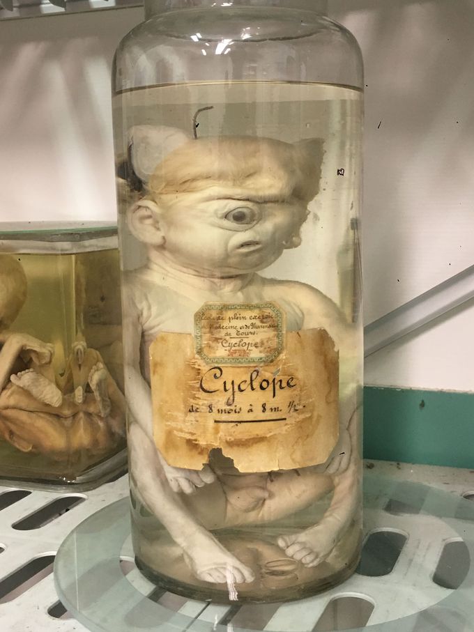 Over a 100 years preserve