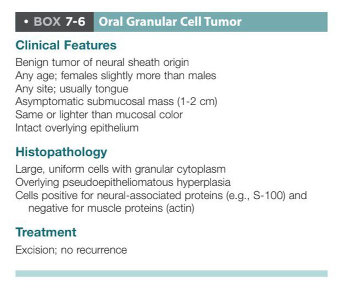 Oral granular cell tumor
