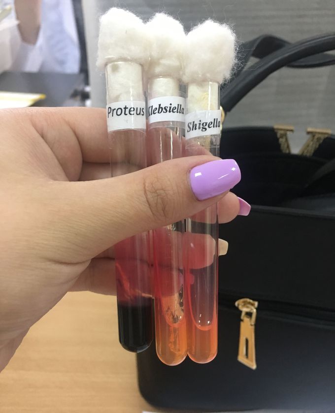 Microbiology