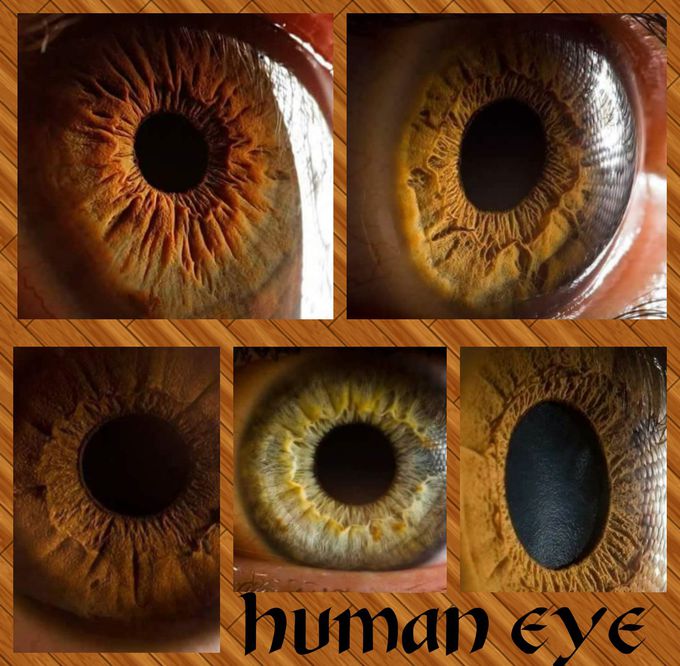 Extreme close up of human eye...👁️