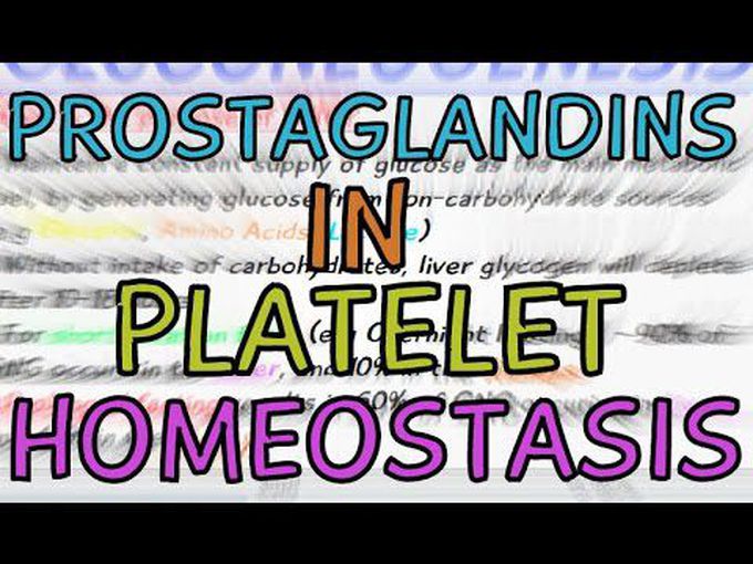 Involvement of prostaglandins in homeostasis