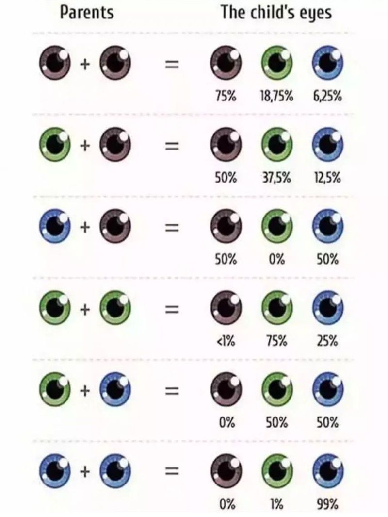 Maroon Eye Color Chart