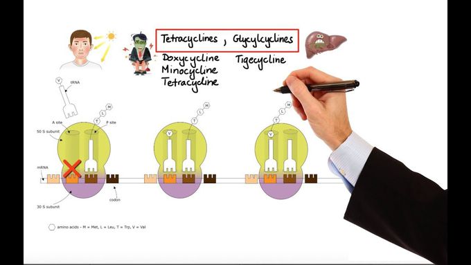 Pharmacology – ANTIBIOTICS – NUCLEIC ACID & FOLIC ACID & PROTEIN SYNTHESIS INHIBITORS (MADE EASY)