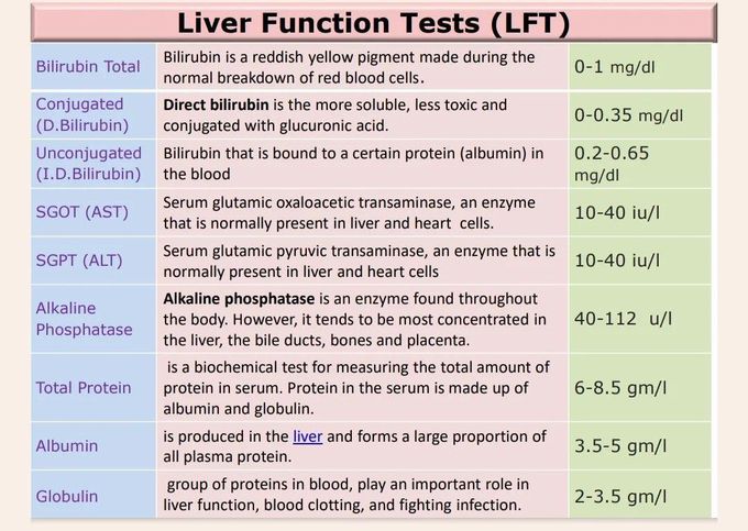 Liver Function Test