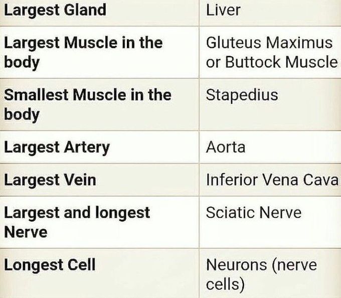 Useful information about human body