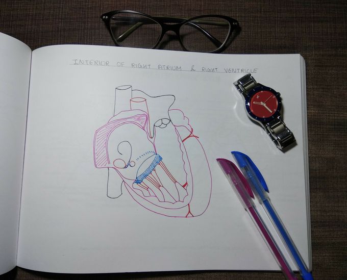 Heart♥