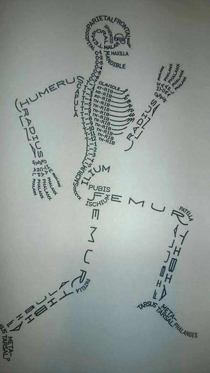 Anatomy