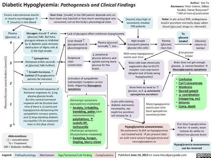 Diabetic Hypoglycemia