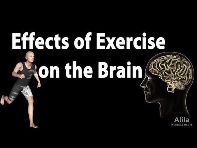 How Exercise affects Brain