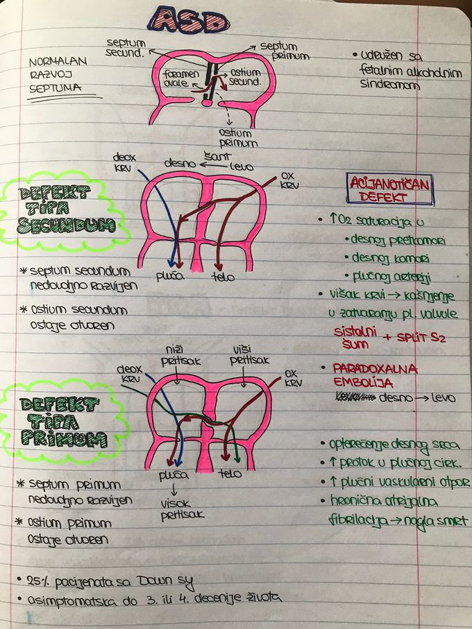 ASD study notes