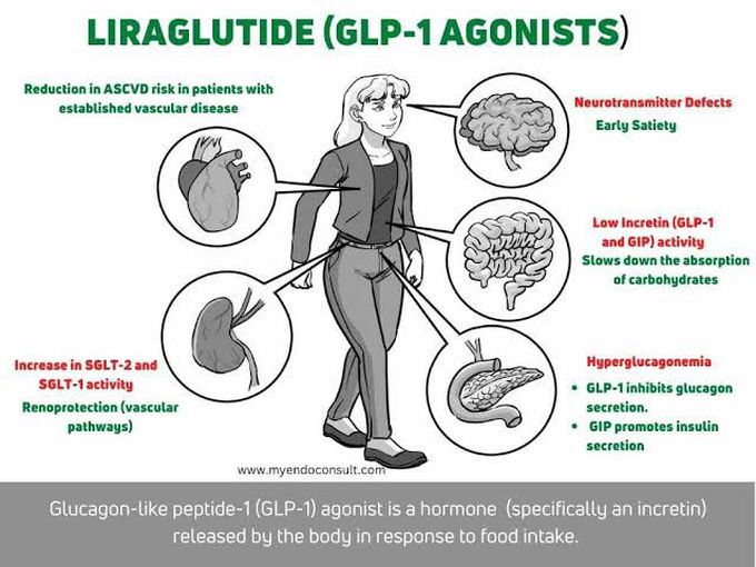 Liraglutide (GLP-1 Agonists)