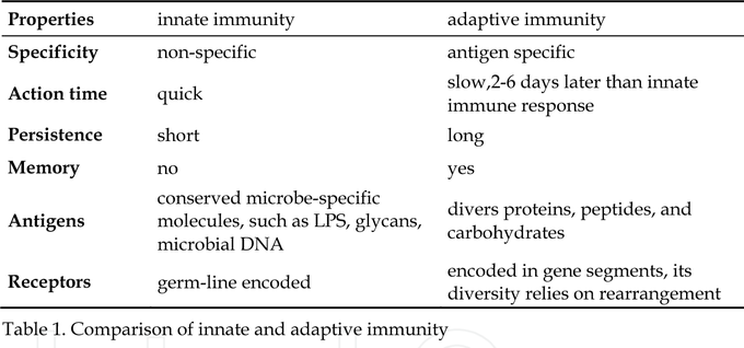 Innate Immunity vs Adaptive Immunity