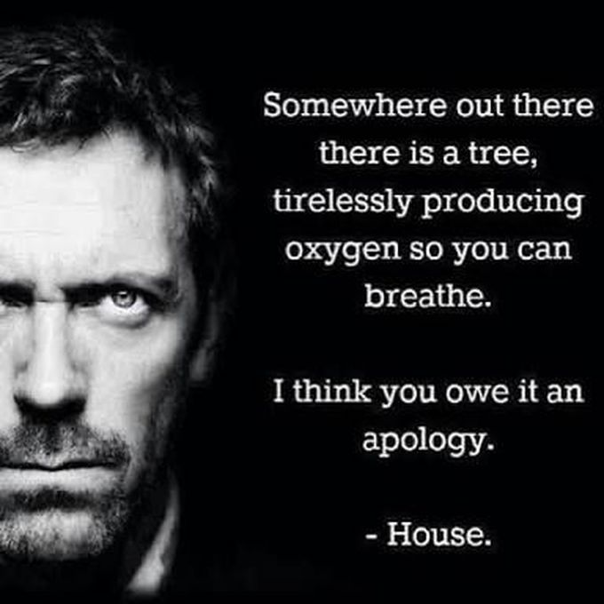 House MD