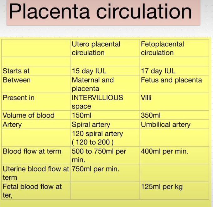 Placental Circulation Biology Diagrams