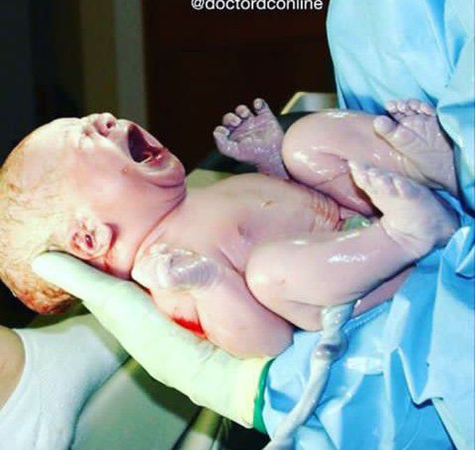 New life