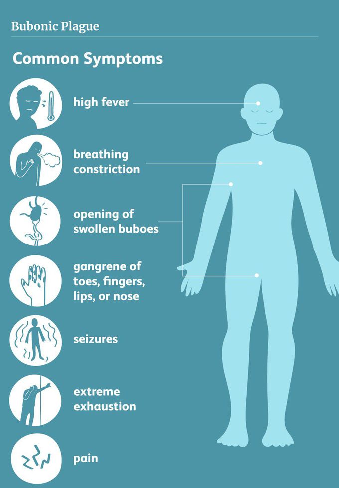 Symptoms of Bubonic Plague