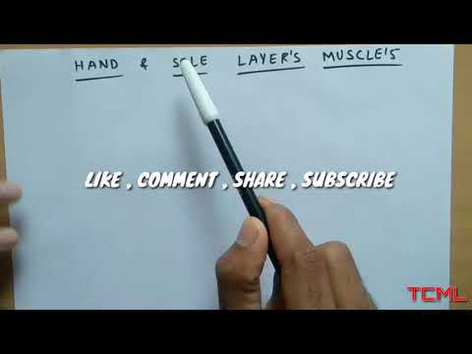 HAND and SOLE layer's Muscle's