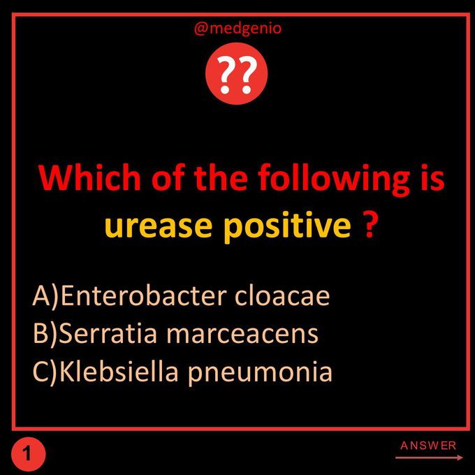 MICROBIOLOGY Q&A