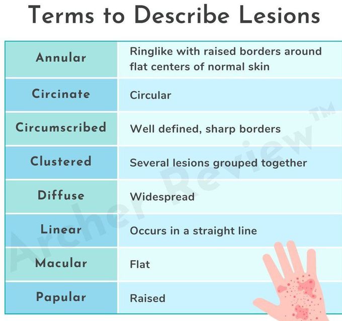 Descriptive Terms for Lesions