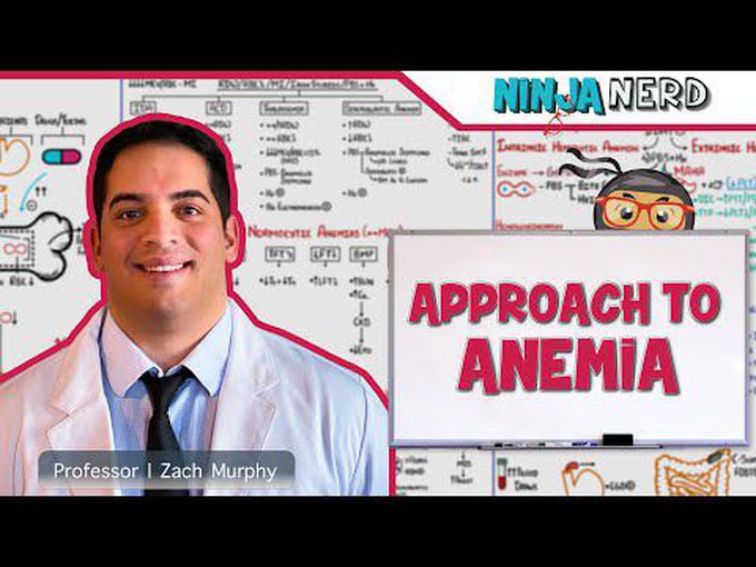 CBC | Approach to Anemia
