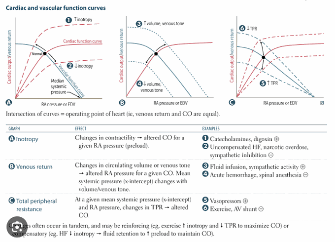 Cardiac and Vascular function curves