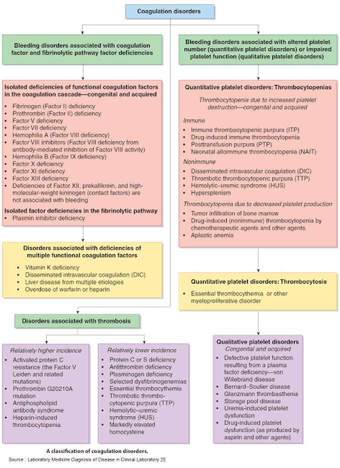 Coagulation Disorder