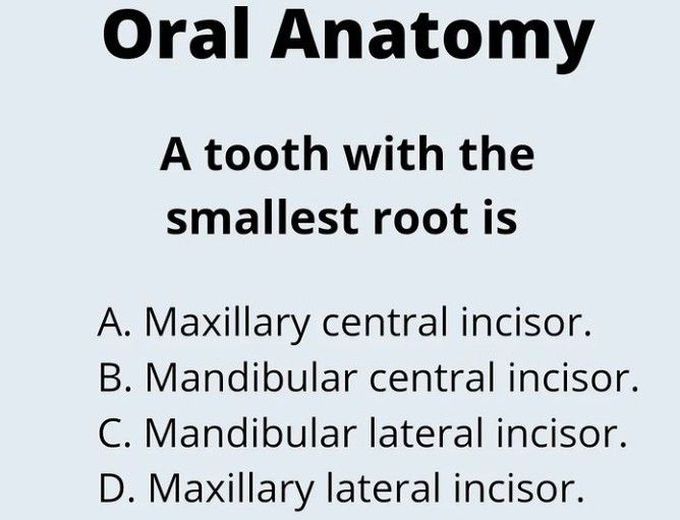 Tooth with the Smallest Root