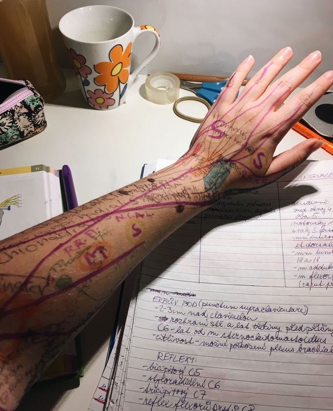 My way of studying