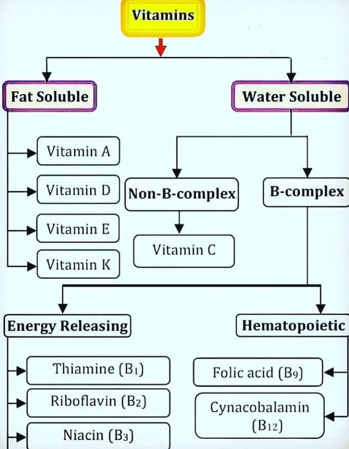 Types of Vitamins