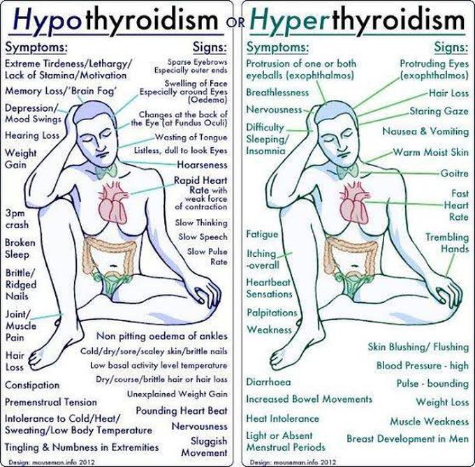 Hypo vs hyperthyroidism
