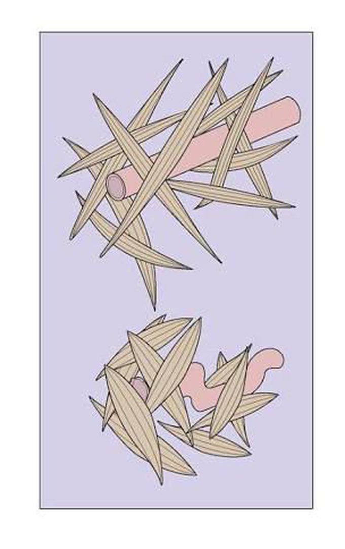 What does this diagram show?