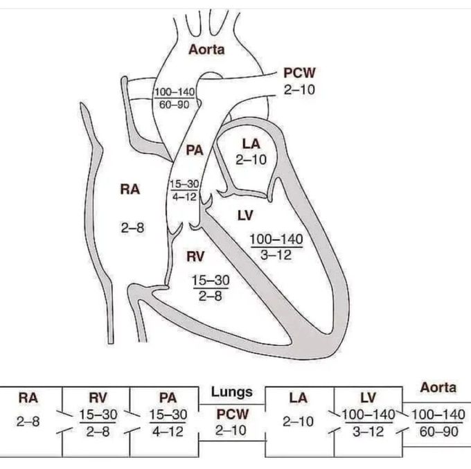 Cardiac Pressures