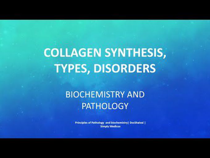 Collagen types, disorders and synthesis.