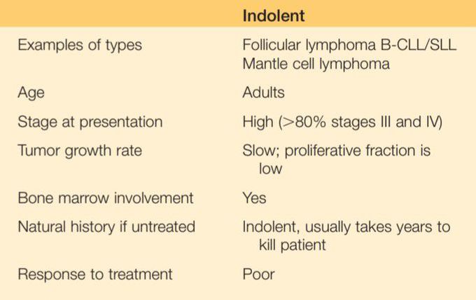 Indolent type of lymphoma