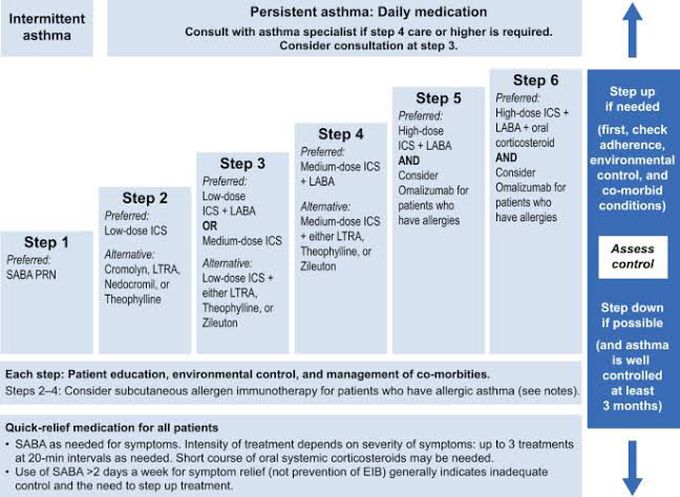 Persistent Asthma Medication