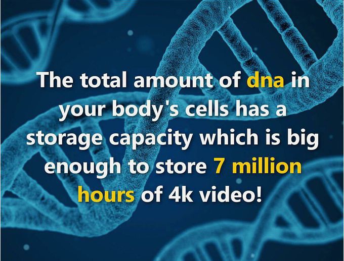 Interesting fact