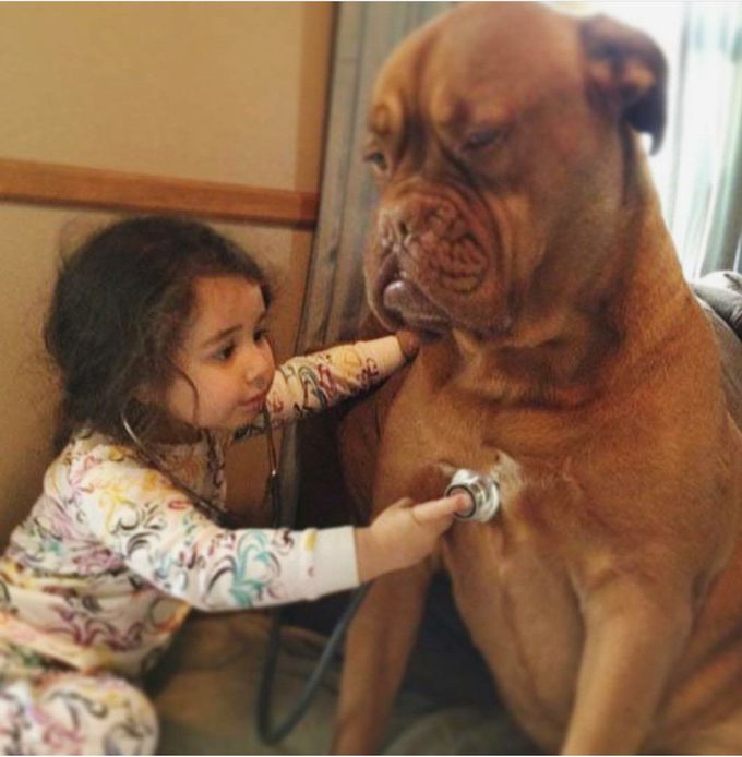 The youngest doctor
