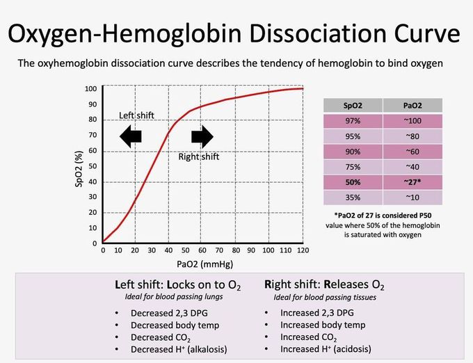 Oxygen Hemoglobin Dissociation Curve