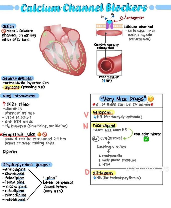 Ca Channel Blockers