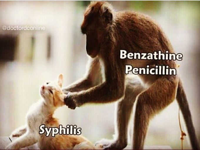 What benzathine penicillin does to syphilis